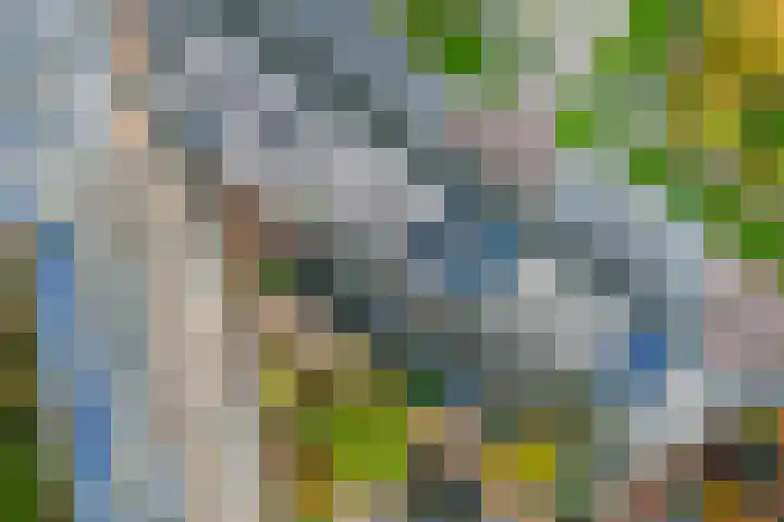 Jazzsingel 5 Utrecht thumbnail 76