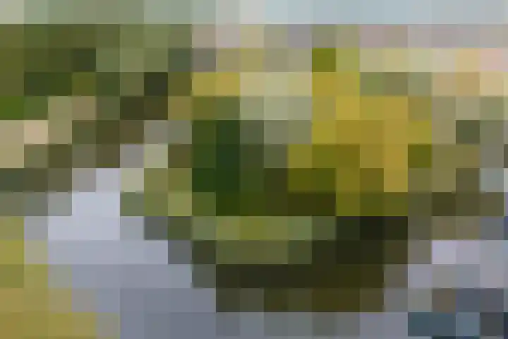 Jazzsingel 5 Utrecht thumbnail 78
