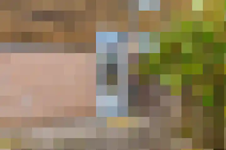 Logo van Jeannot Deckers Makelaardij &amp; Taxatieburo