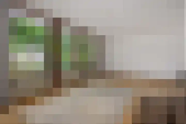 Jeker 2 Deurne thumbnail 10