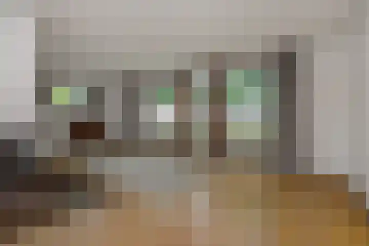 Jeker 2 Deurne foto 2