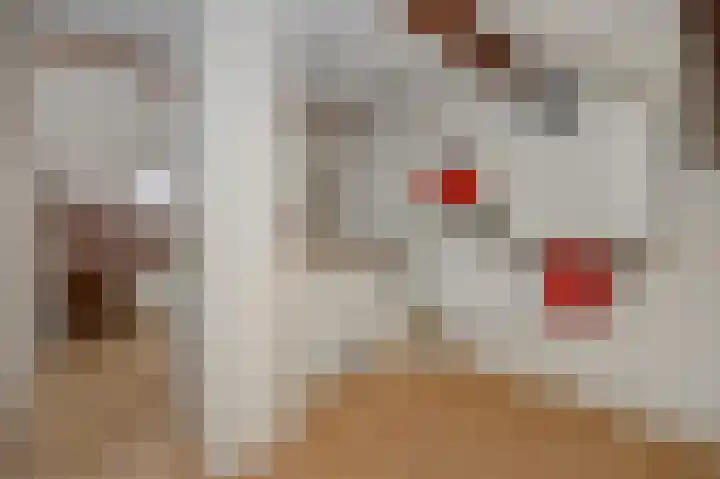 Jeker 2 Deurne thumbnail 24