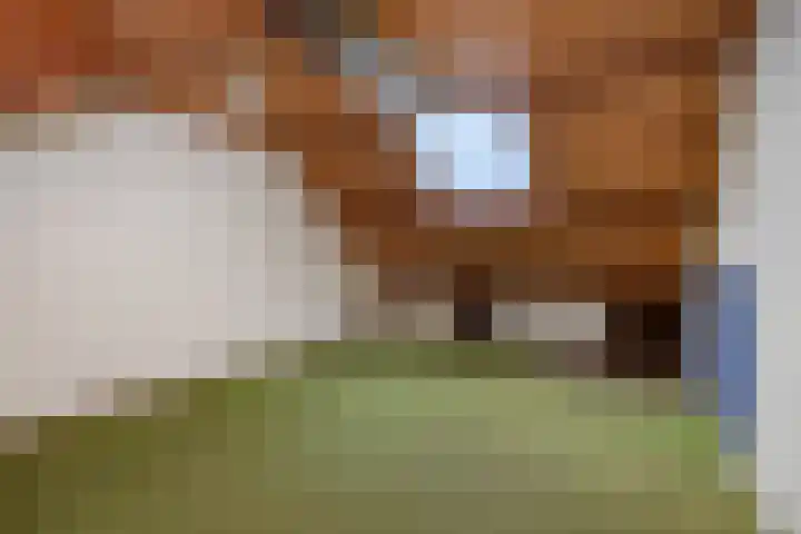 Jeker 2 Deurne thumbnail 26