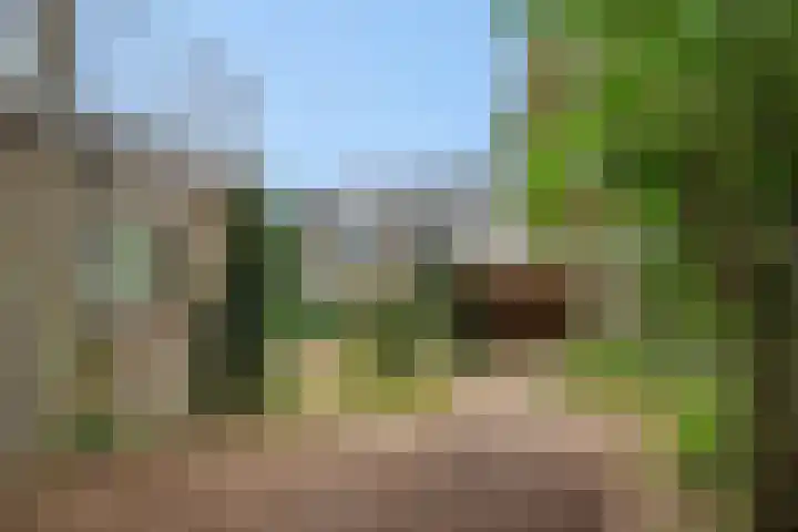 Jeker 2 Deurne thumbnail 28