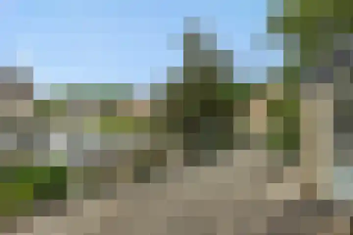 Jeker 2 Deurne thumbnail 37