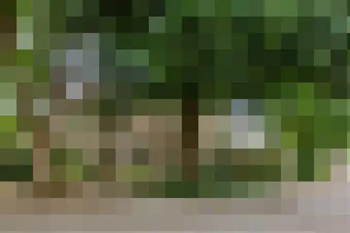 Jeker 2 Deurne thumbnail 38