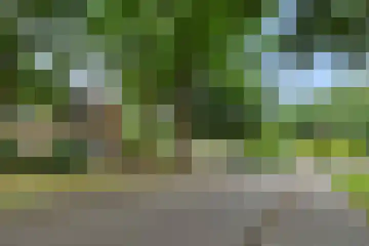 Jeker 2 Deurne thumbnail 39