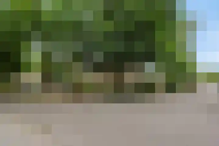 Jeker 2 Deurne thumbnail 40