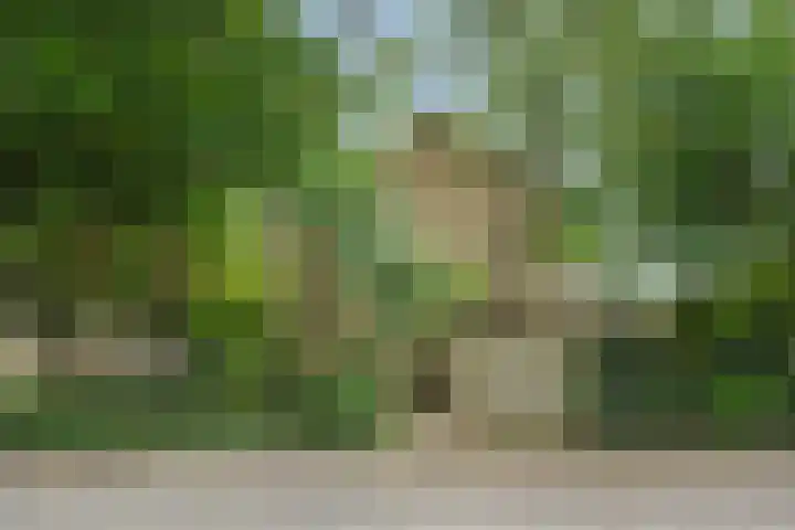 Jeker 2 Deurne thumbnail 41