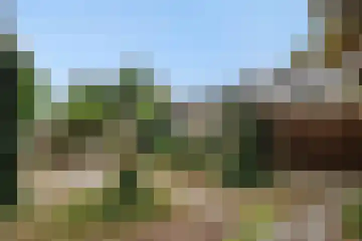 Jeker 2 Deurne thumbnail 5