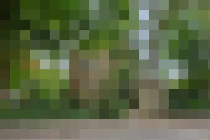 Jeker 2 Deurne thumbnail 6