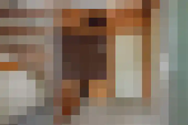 Jeker 2 Deurne thumbnail 8