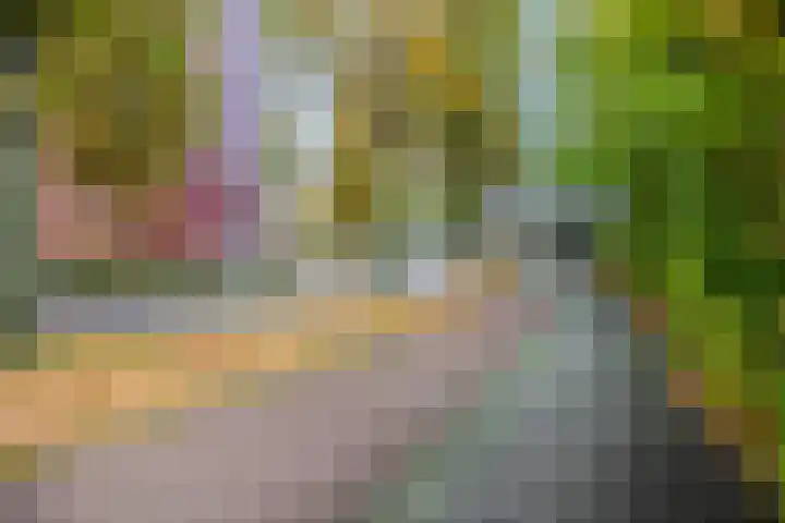 Jeker 45 Tilburg thumbnail 12