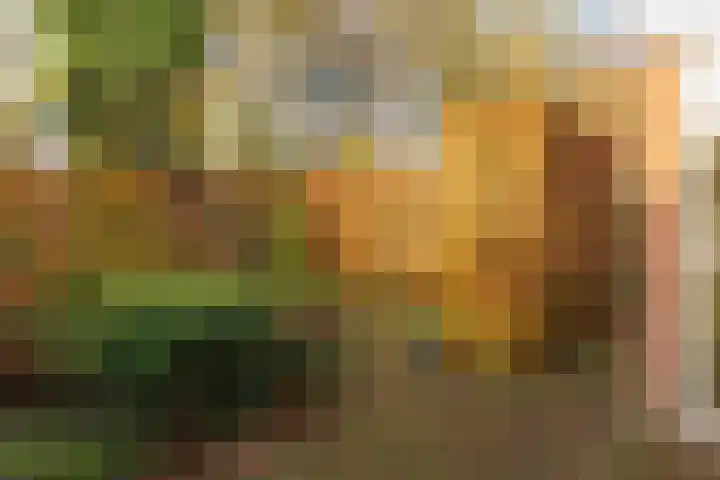 Jeker 45 Tilburg thumbnail 34
