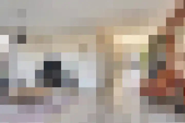 Jeldingaheerd 44 Schildwolde thumbnail 11