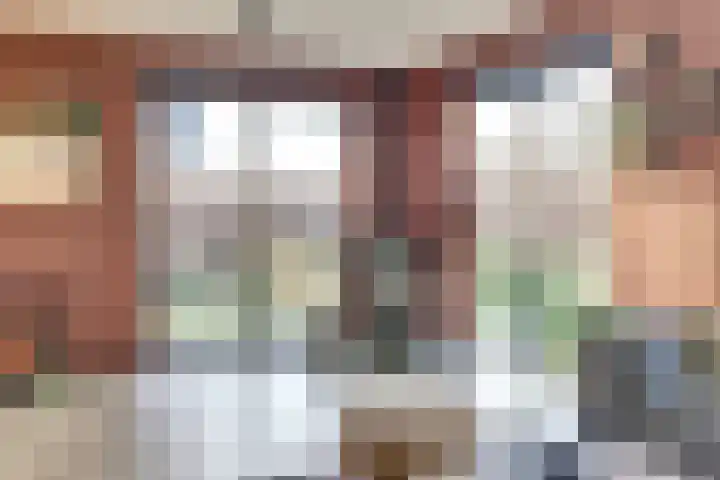 Jeldingaheerd 44 Schildwolde thumbnail 12