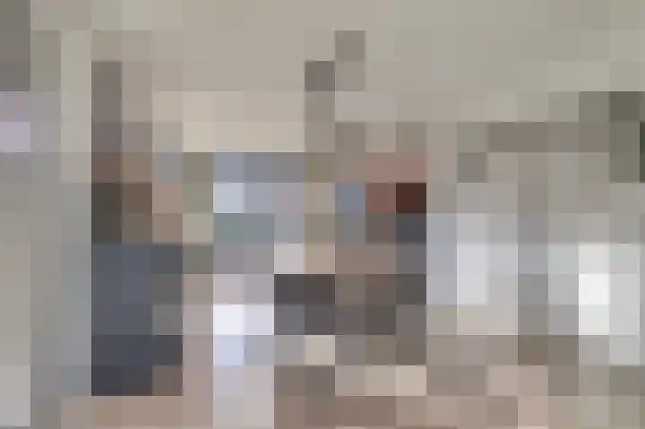 Jeldingaheerd 44 Schildwolde thumbnail 14