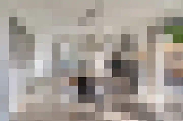 Jeldingaheerd 44 Schildwolde thumbnail 15
