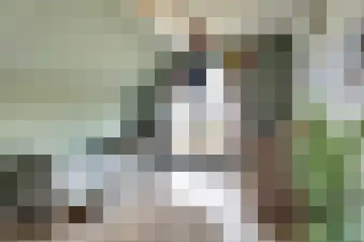 Jeldingaheerd 44 Schildwolde thumbnail 26