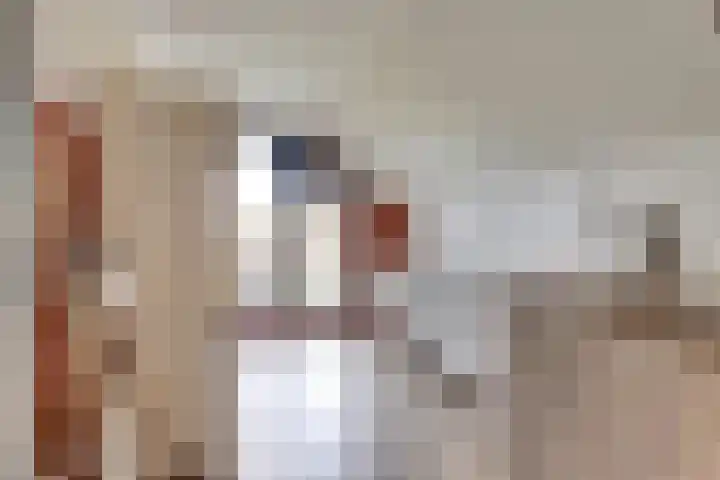Jeldingaheerd 44 Schildwolde thumbnail 28