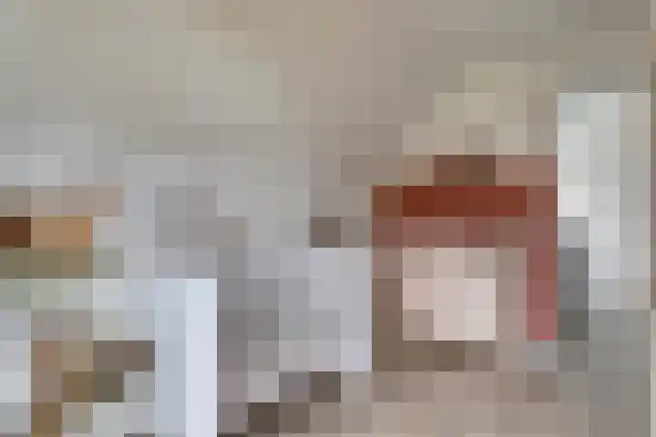 Jeldingaheerd 44 Schildwolde thumbnail 29