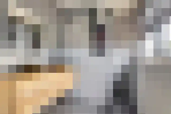 Jeldingaheerd 44 Schildwolde thumbnail 31