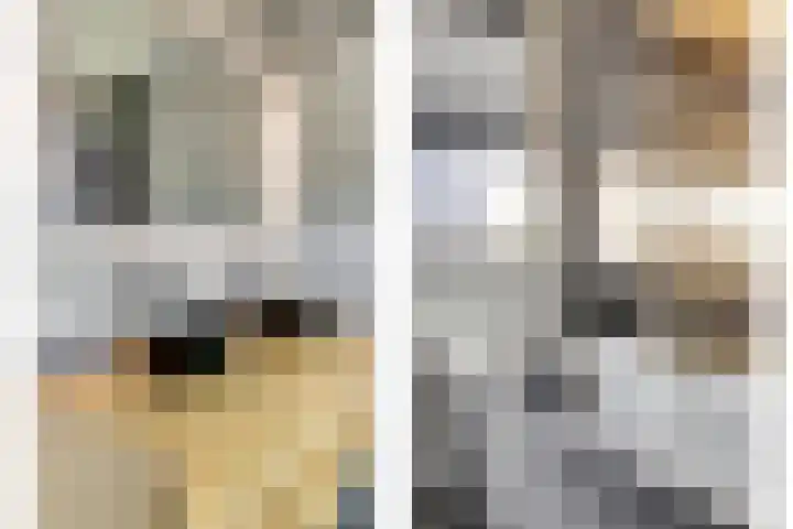 Jeldingaheerd 44 Schildwolde thumbnail 32