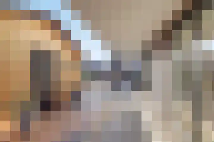 Jeldingaheerd 44 Schildwolde thumbnail 33