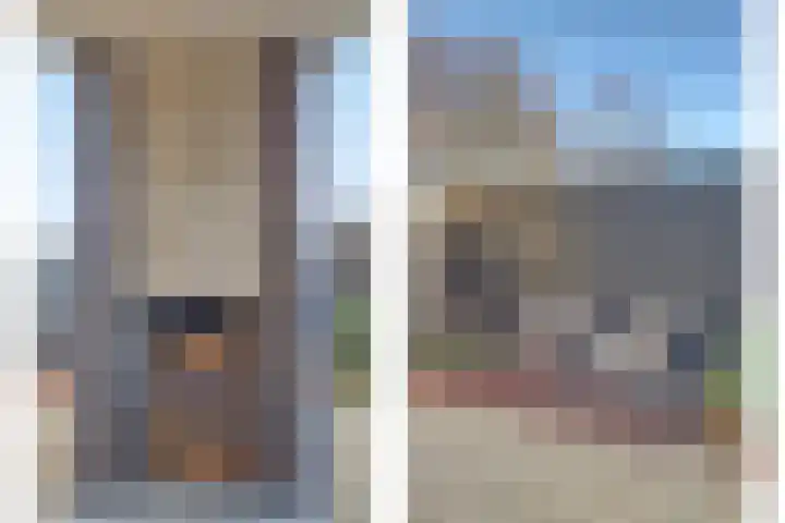 Jeldingaheerd 44 Schildwolde thumbnail 35