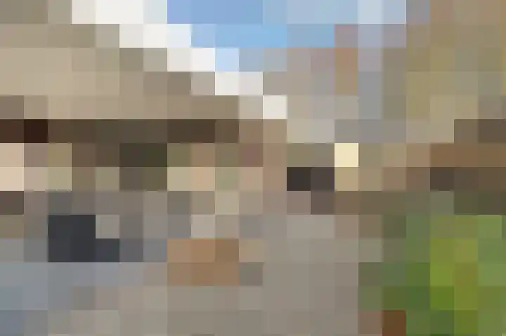 Jeldingaheerd 44 Schildwolde thumbnail 38