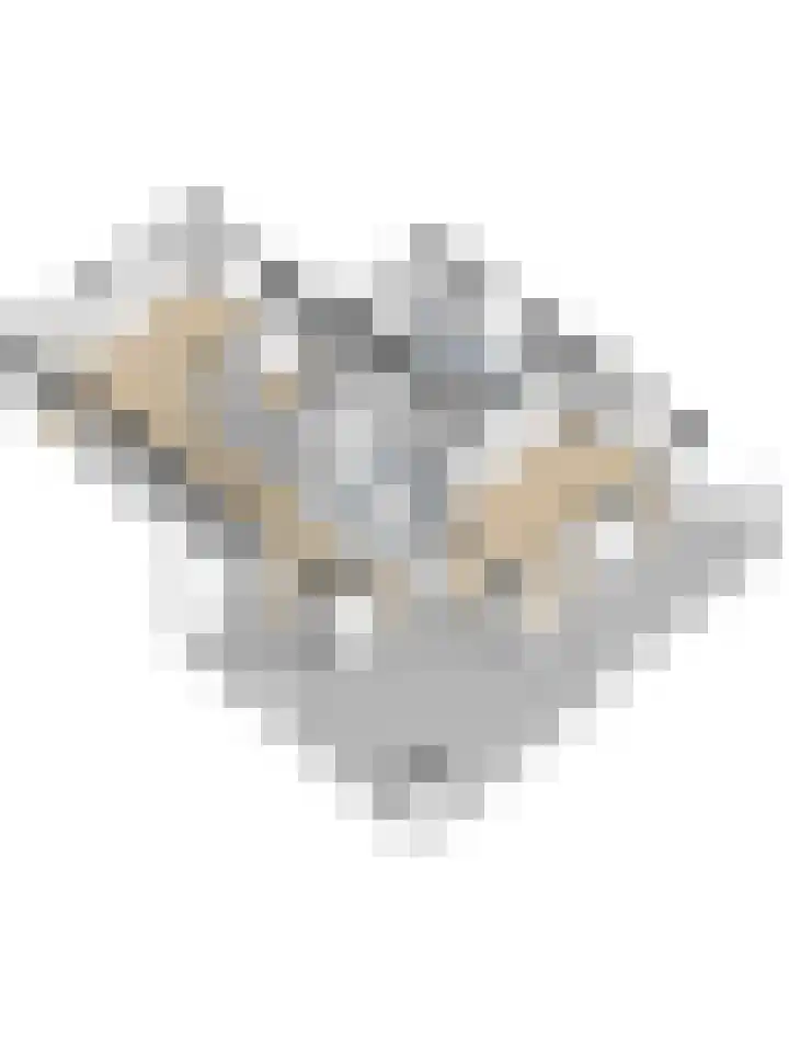 Jeldingaheerd 44 Schildwolde thumbnail 48