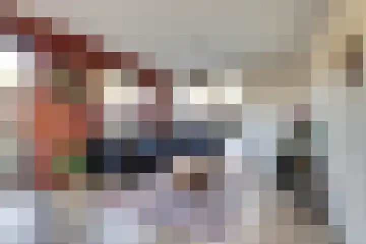 Jeldingaheerd 44 Schildwolde thumbnail 8