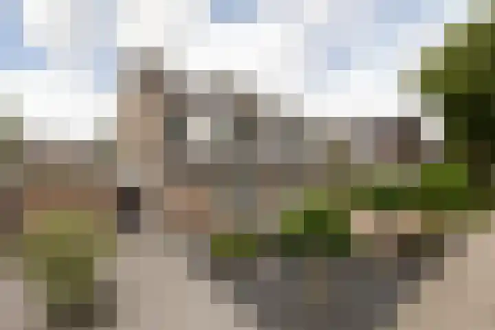 Jellen 7 Sneek