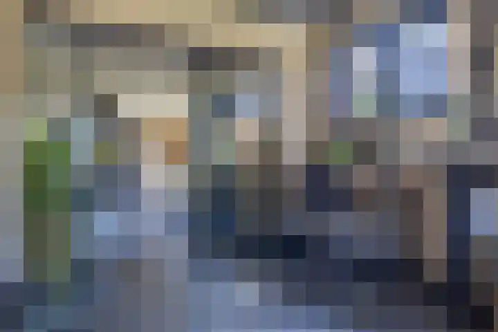 Jeltingalaan 52 Buitenpost thumbnail 11