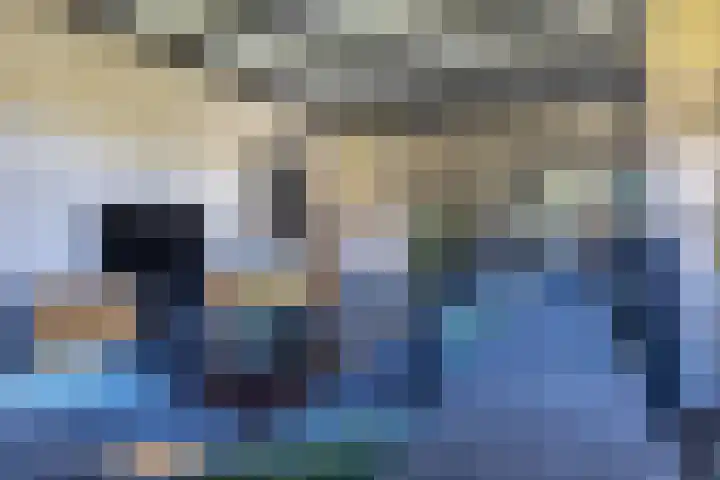 Jeltingalaan 52 Buitenpost thumbnail 12