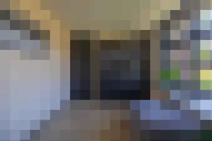 Jeltingalaan 52 Buitenpost thumbnail 17