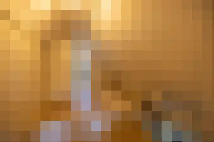 Jeltingalaan 52 Buitenpost thumbnail 29