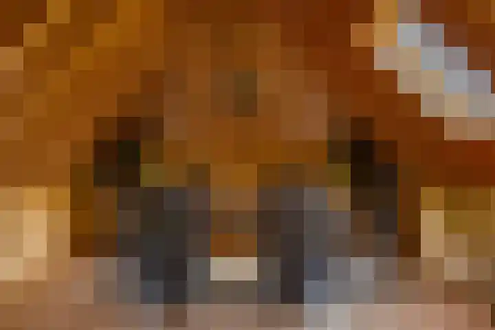 Jeltingalaan 52 Buitenpost thumbnail 41