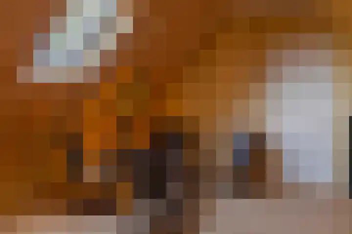 Jeltingalaan 52 Buitenpost thumbnail 42