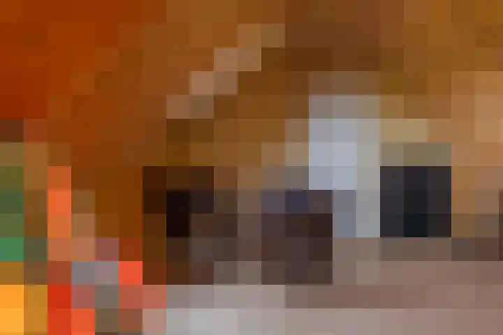 Jeltingalaan 52 Buitenpost thumbnail 43