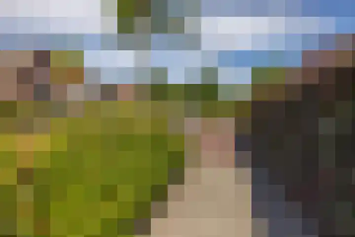 Jeltingalaan 52 Buitenpost thumbnail 51