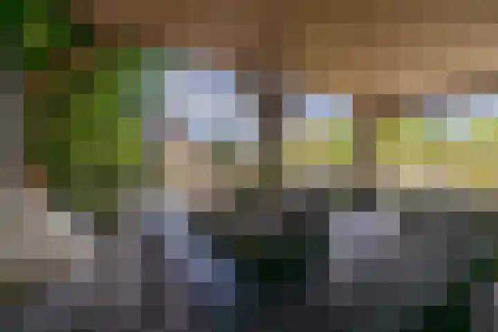Jeltingalaan 52 Buitenpost thumbnail 55