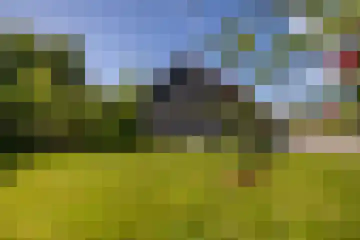 Jeltingalaan 52 Buitenpost thumbnail 62