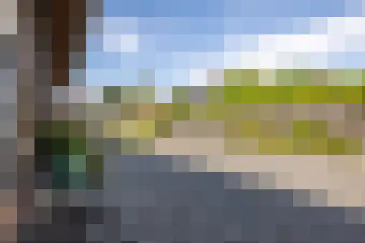 Jeltingalaan 52 Buitenpost thumbnail 64