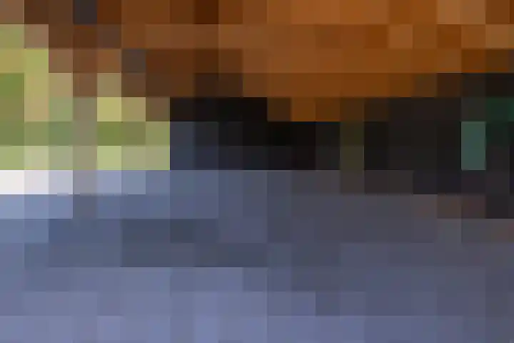 Jeltingalaan 52 Buitenpost thumbnail 67