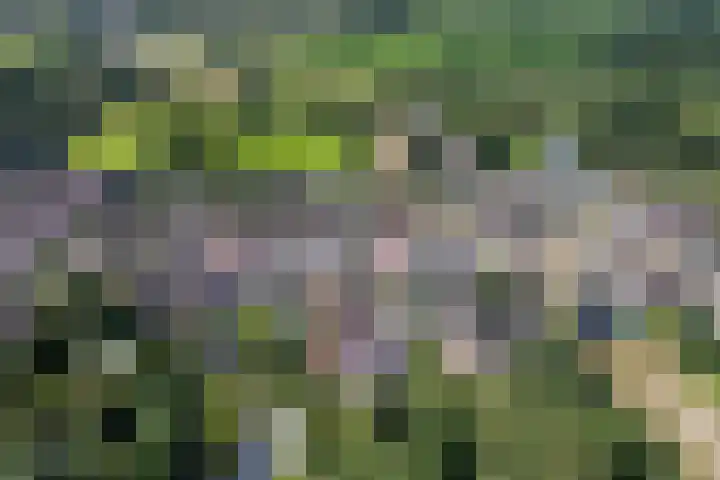 Jeltingalaan 52 Buitenpost thumbnail 71