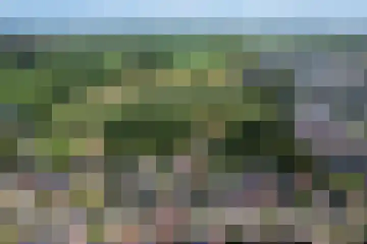 Jeltingalaan 52 Buitenpost thumbnail 75