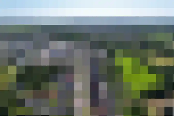 Jeltingalaan 52 Buitenpost thumbnail 76