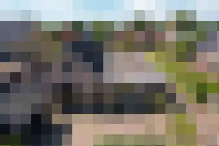 Jeltingalaan 52 Buitenpost thumbnail 81