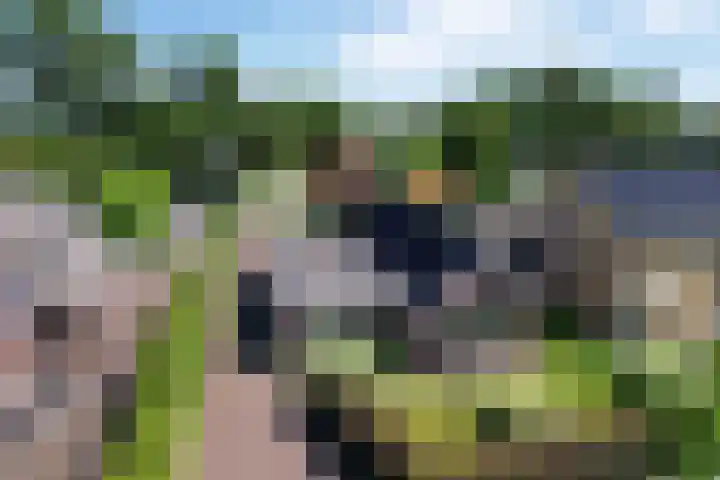 Jeltingalaan 52 Buitenpost thumbnail 89